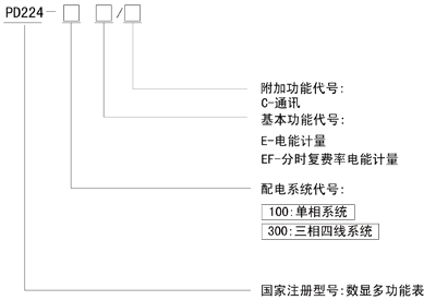 PD224-100E、PD224-300E導(dǎo)軌式安裝電能表型號(hào)命名 PD224-100E、PD224-300E導(dǎo)軌式安裝電能表型號(hào)命名